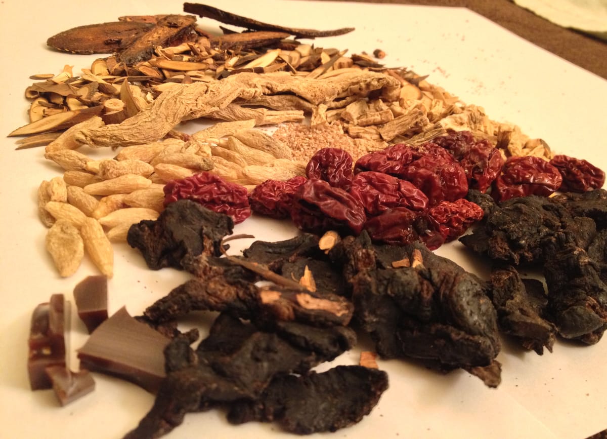 The Future of Chinese Herbalism
