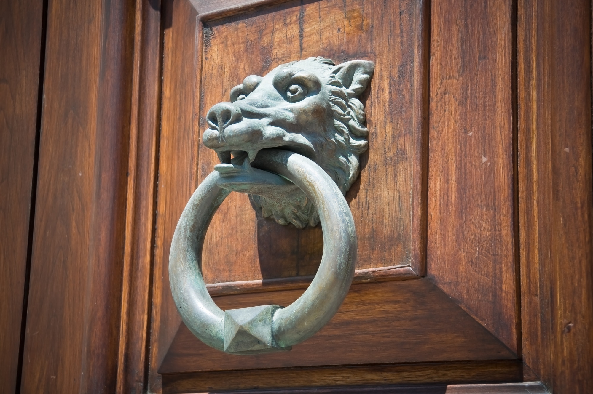 image of an ancient doorknocker in the shape of a dog-like animal with a ring in its mouth